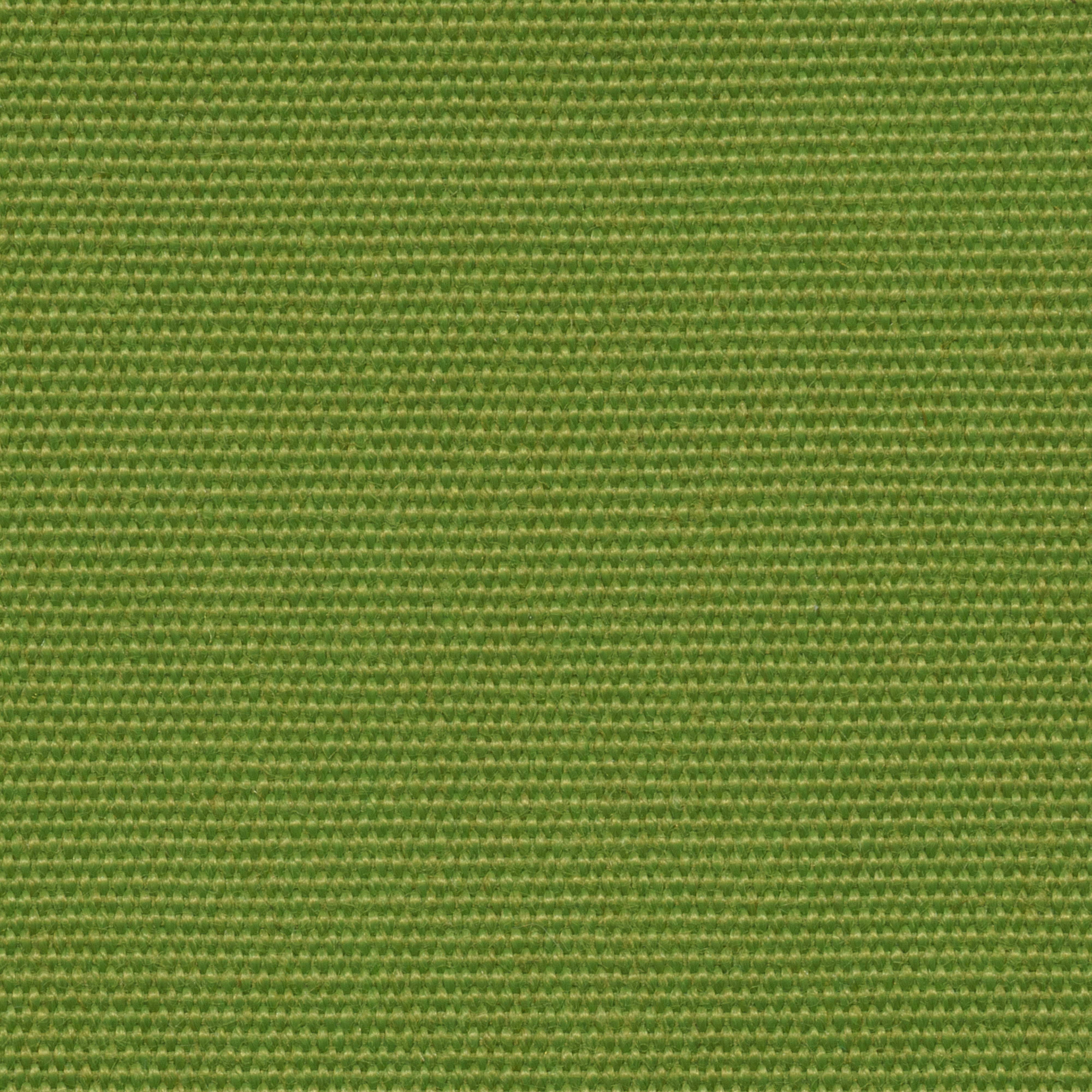 BRISA-57 PEAR — BRISA — JOTEX OUTDOOR fabric swatch