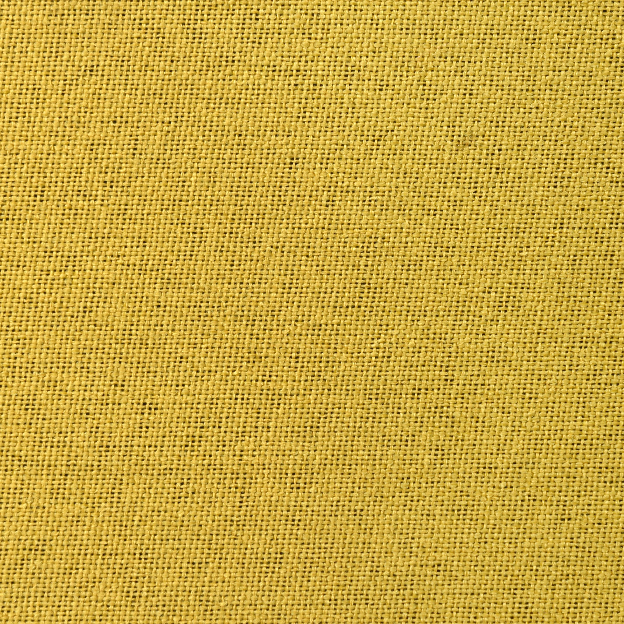 HOYA-25 MUSTARD — POLNA — POSH CREATION fabric swatch