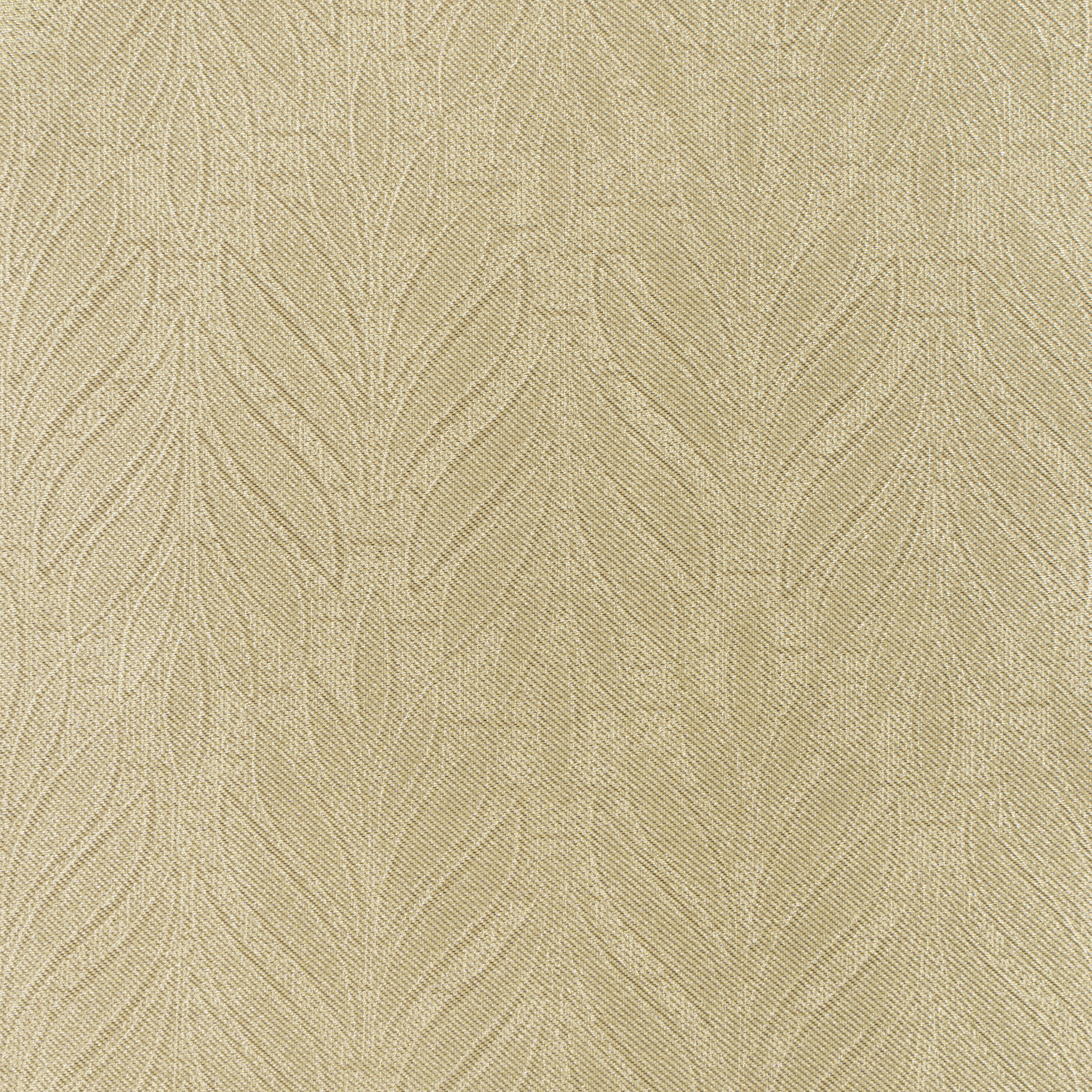 REGINA-02 HONEY — ROME — POSH CREATION fabric swatch