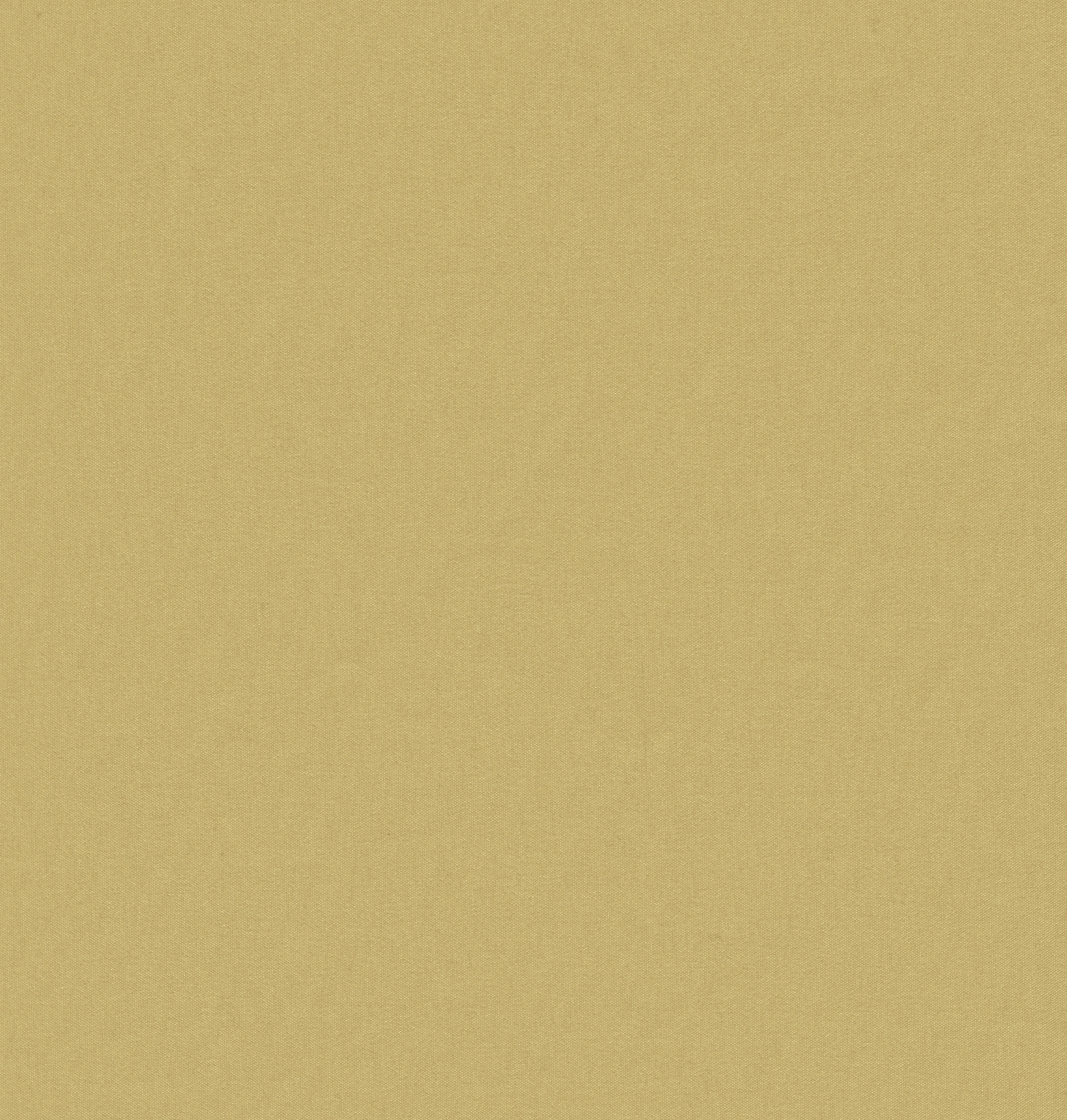 RINA-11 HONEY — RINA — TEKUSU fabric swatch