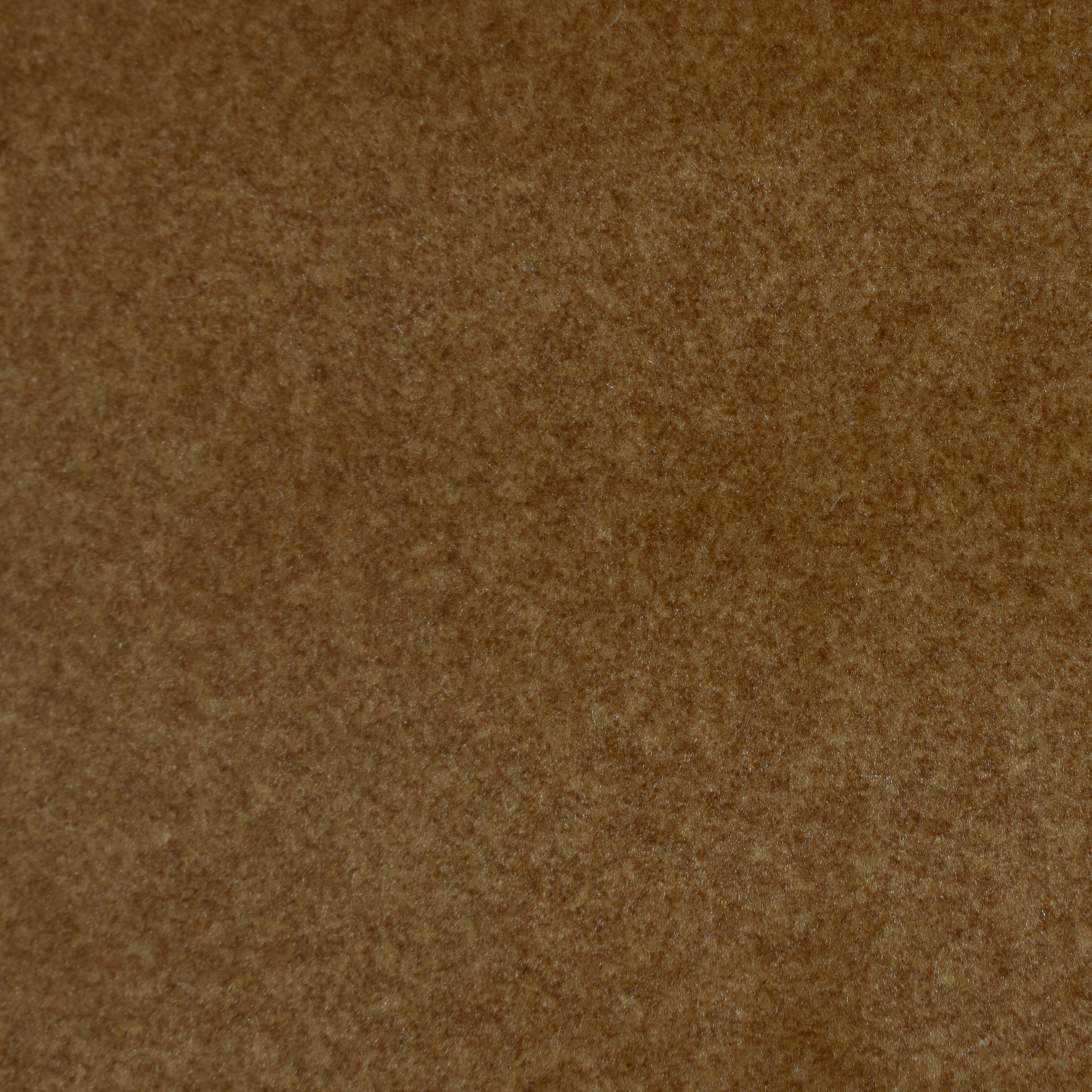 PURIFY-11 WOOD — PURIFY — YARNGUARD fabric swatch