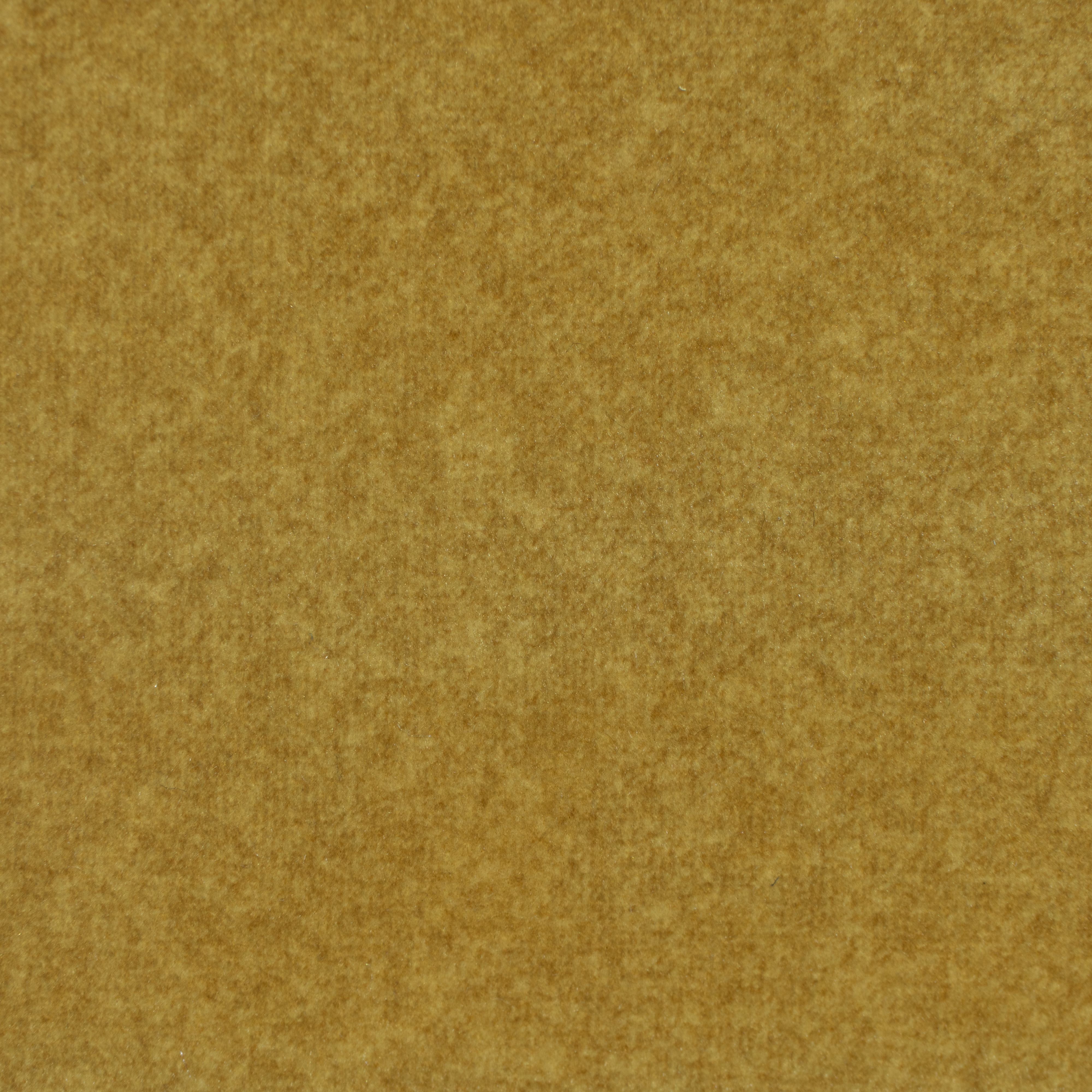 PURIFY-13 HONEY — PURIFY — YARNGUARD fabric swatch
