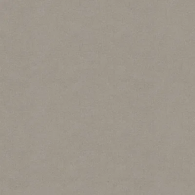 PEBBLE