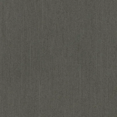 BELUGA