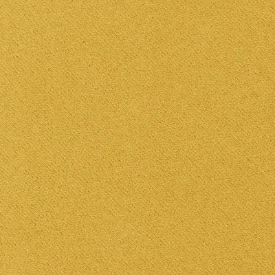 AMBER