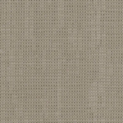 JUTE