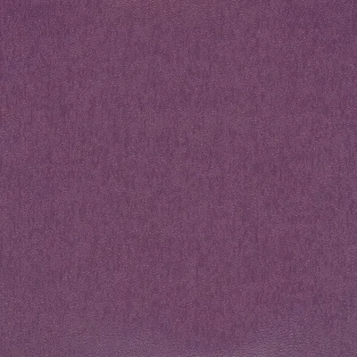 DAMSON