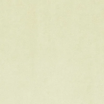 VELVET-18 CHAMPAGNE colourway of VELVET fabric by JOTEX FABRICS