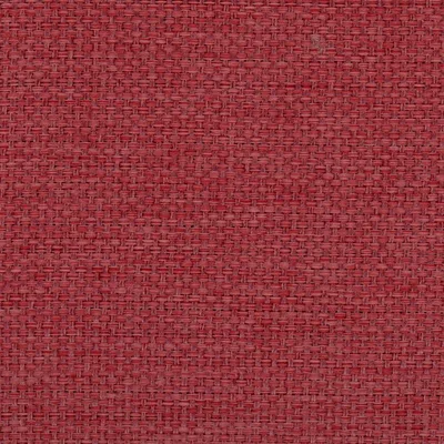 CRANBERRIES