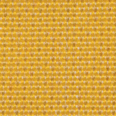AMBER