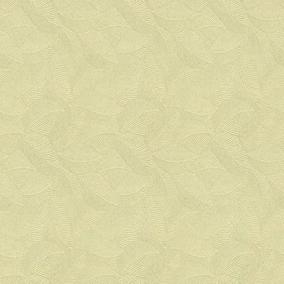 JUTE