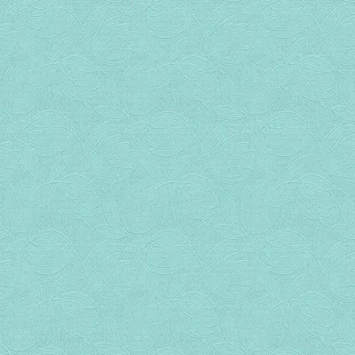 AQUA