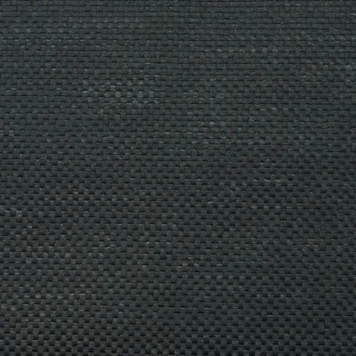 S-09 GRAPHITE