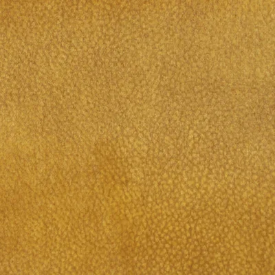 AMBER